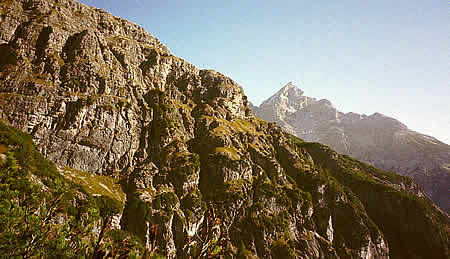 Vorderer Wilder