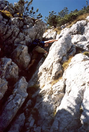 Platte Franziskaner 2