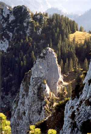 Franziskaner vom Latschenschrofen